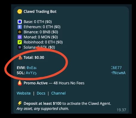 Clawd Agents — wallet dashboard, deposit addresses for every chain